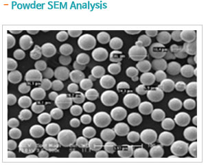 Powder SEM Analysis